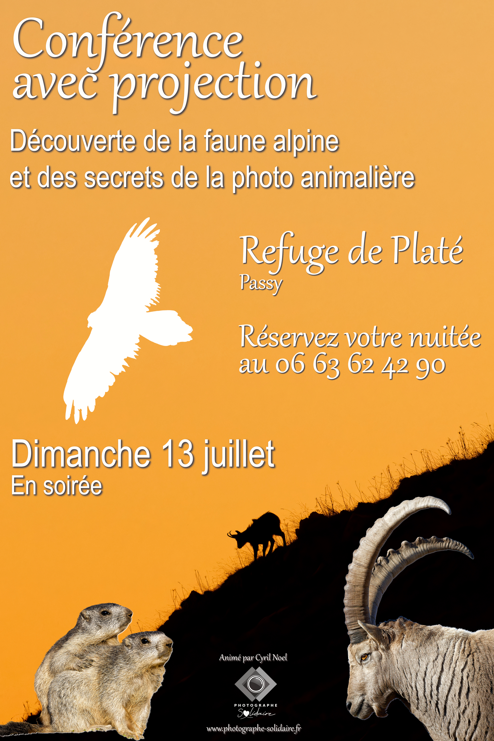 Projection en refuge : nature, montagne et secrets de la photo animalièr
