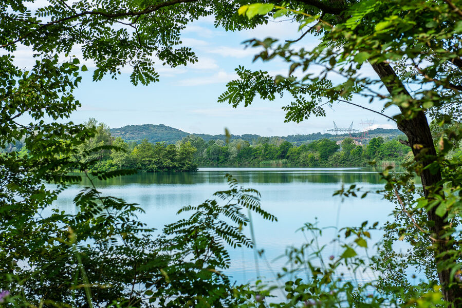 Marais de l'île vieille 3