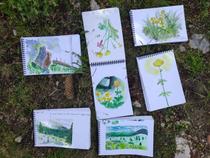 Stage : carnet de Voyage_Villard-de-Lans