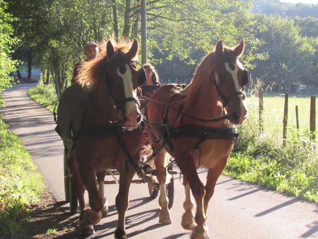 Attelage sur Compostelle