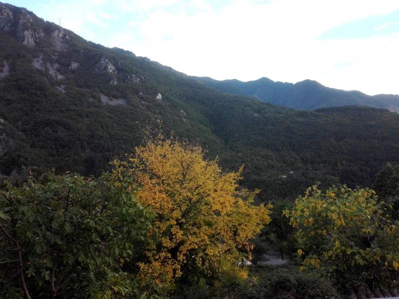 Gîte Chez José-Vue montagnes-Belvédère-Gîtes de France des Alpes-Maritimes