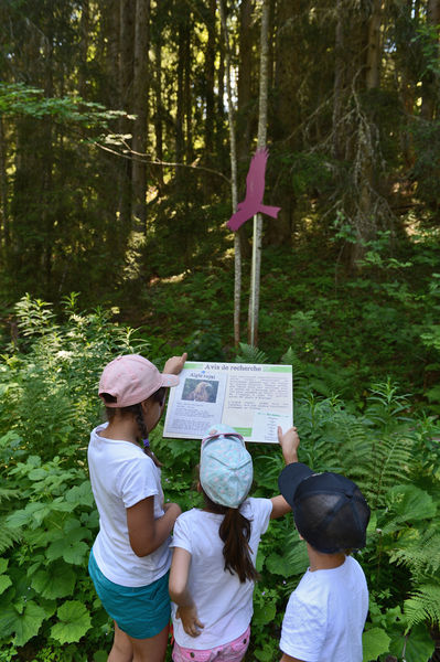 Parcours Cache-Cache des Animaux