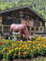 Maison du Fromage Abondance