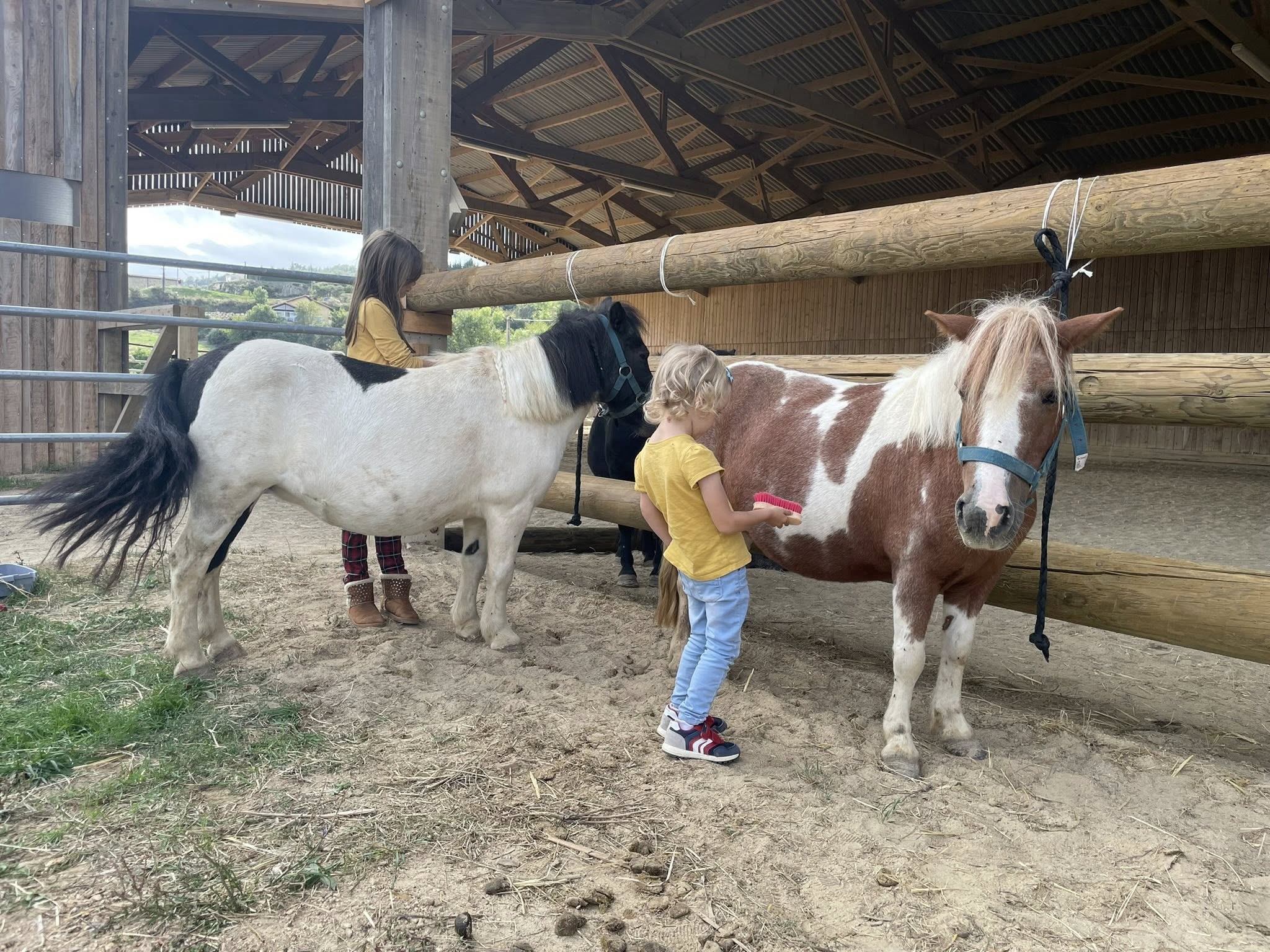 Les Rendez-vous Sport & Nature : stage petit palefrenier et balade à poney