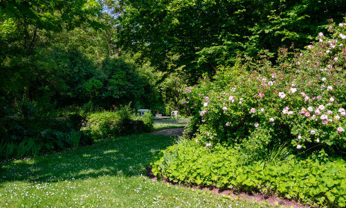 Le jardin découverte le Logis d'Argence