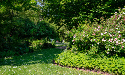 Le jardin découverte le Logis d'Argence