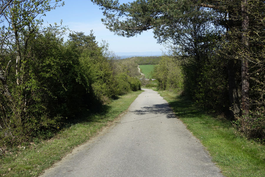 Circuit du Bataillard