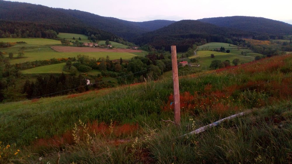 La forêt autour du village 