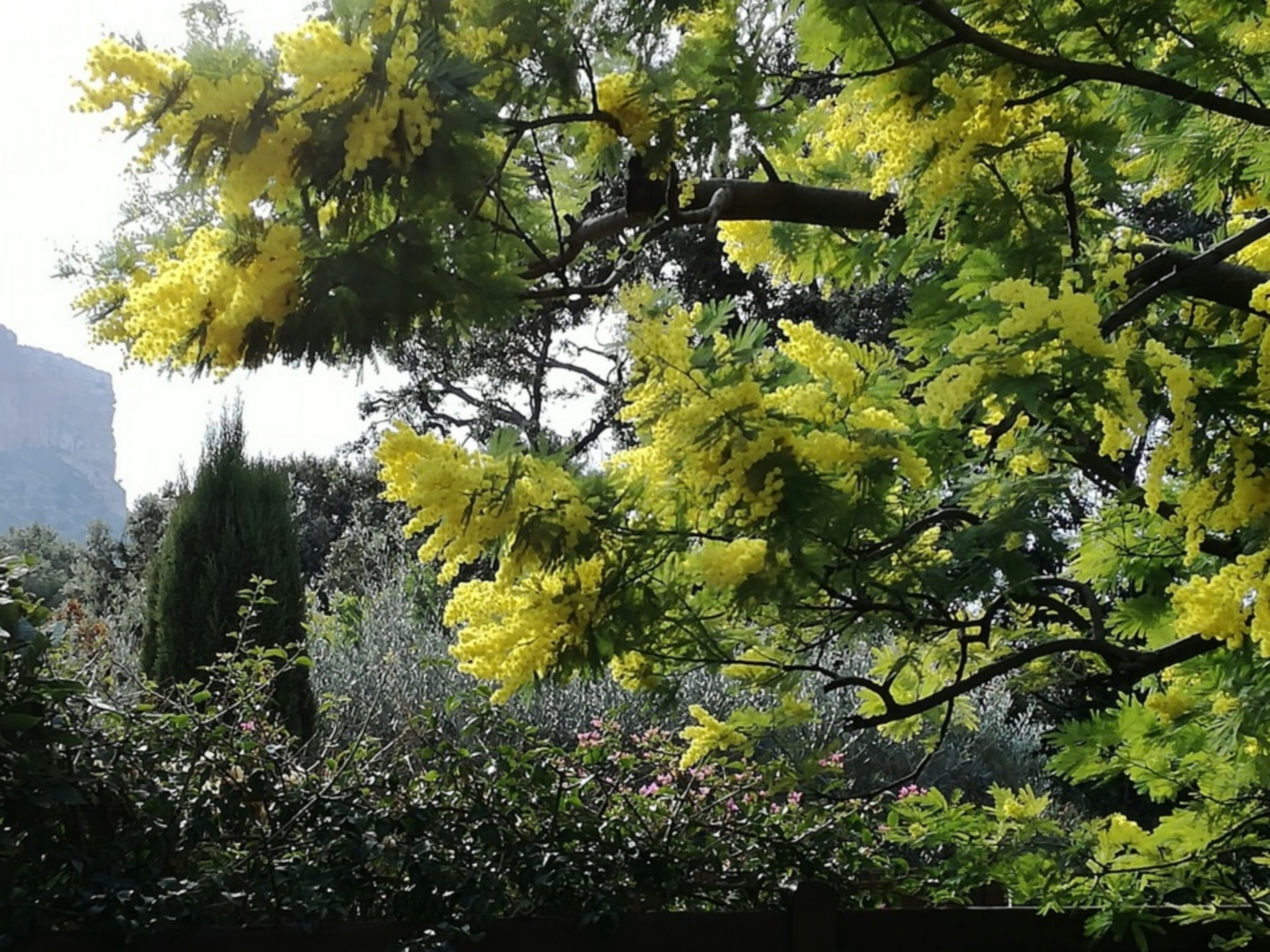 LA VILLA DE PROVENCE, Cassis - photo 8