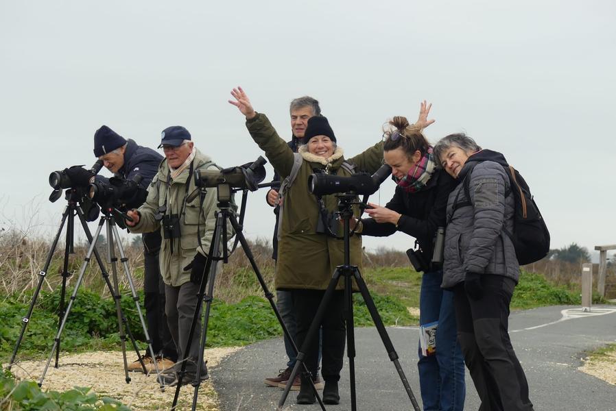 Devenez bénévole de la LPO sur l'île de Ré