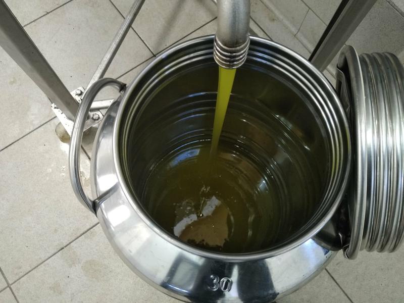 l'huile nouvelle en AOP olive de Nice