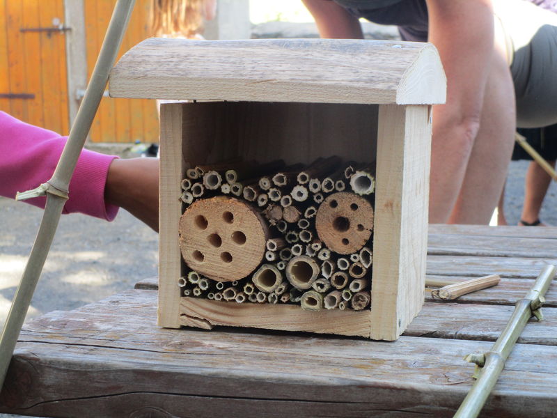 Un hôtel pour les insectes