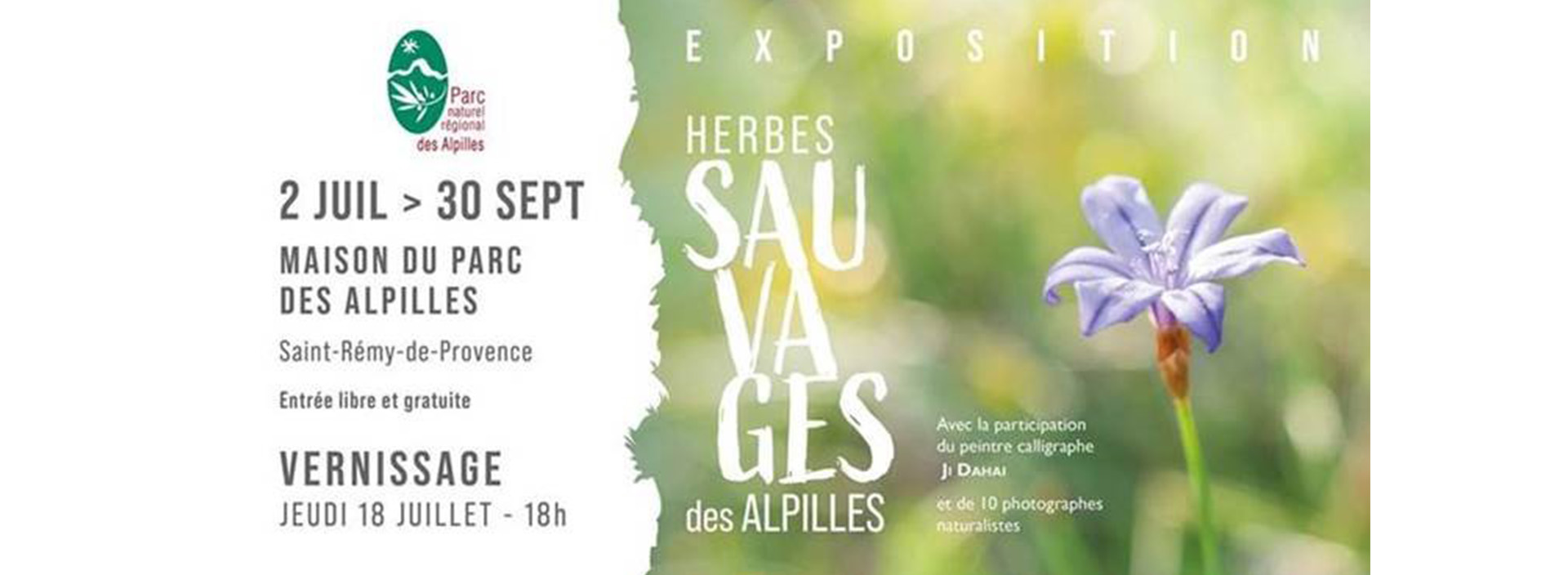 Exhibition Herbes Sauvages des Alpilles