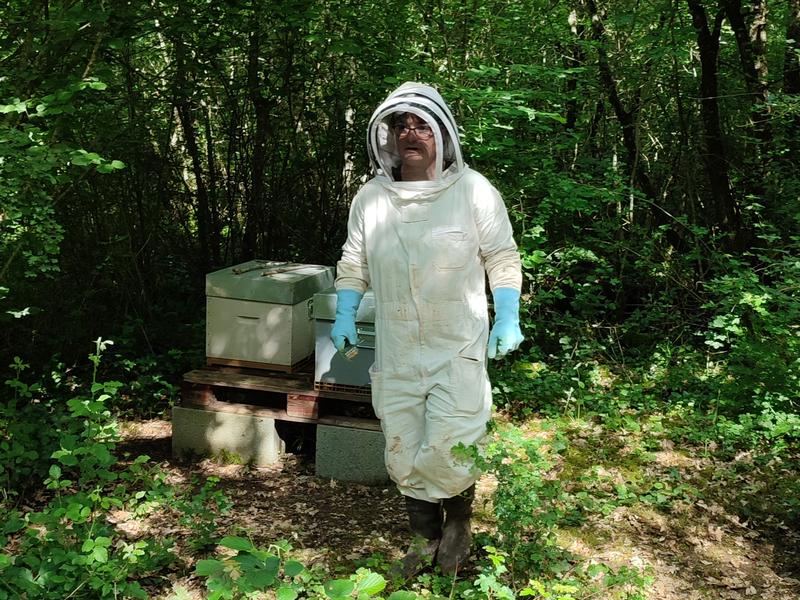 Apiculteur devant une ruche en pleine nature