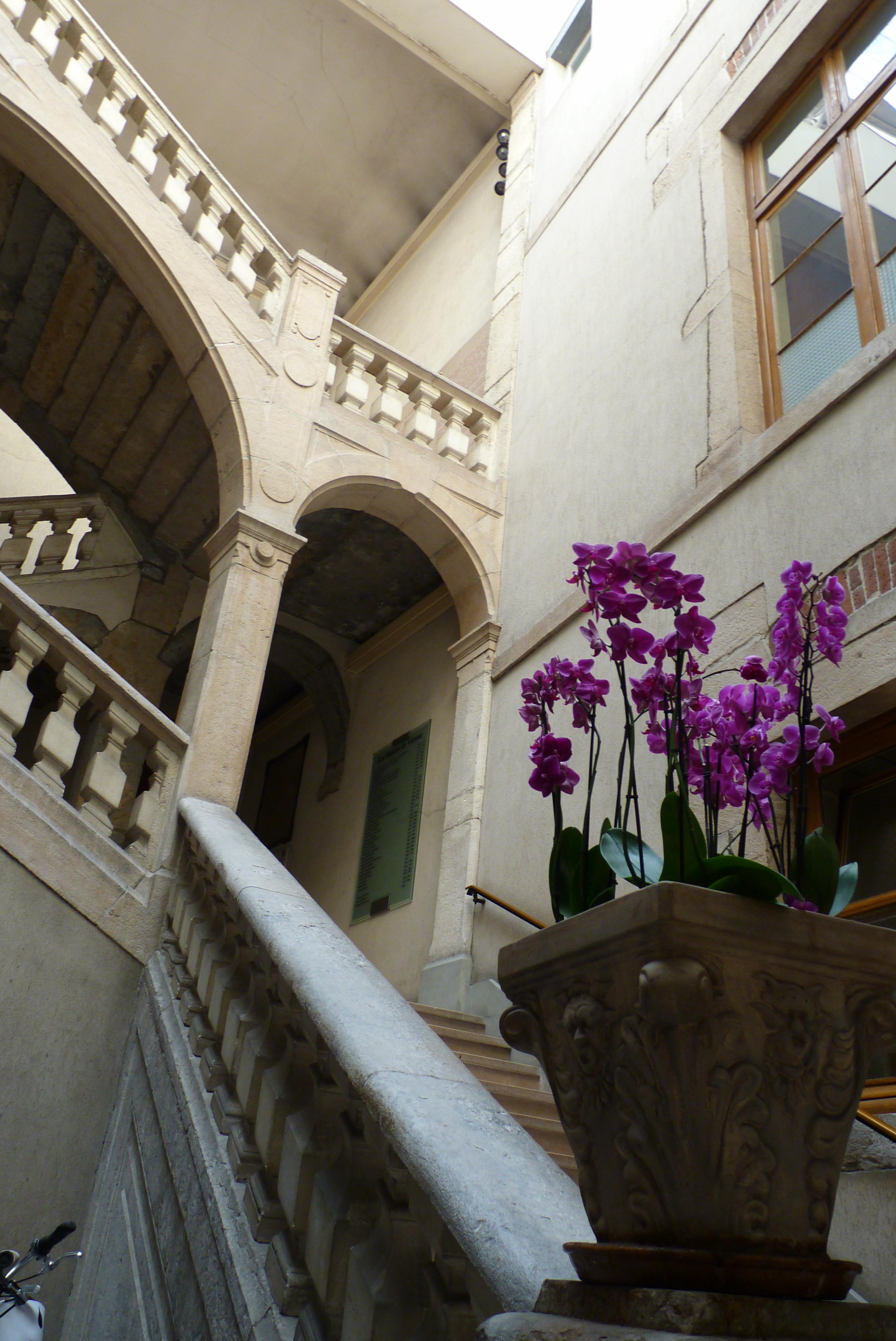 grand_escalier_-2.jpg