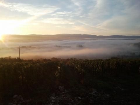 Domaine De La Beliere - Cerdon - Rongier Céline et Gaël