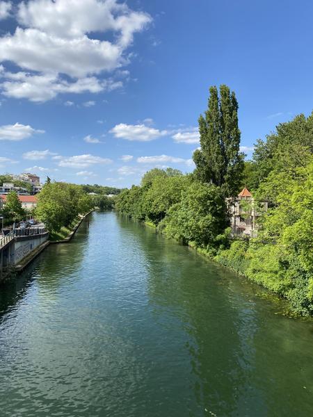 Vue de l'Ile Fanac depuis le Pont de Joinville-le-Pont 