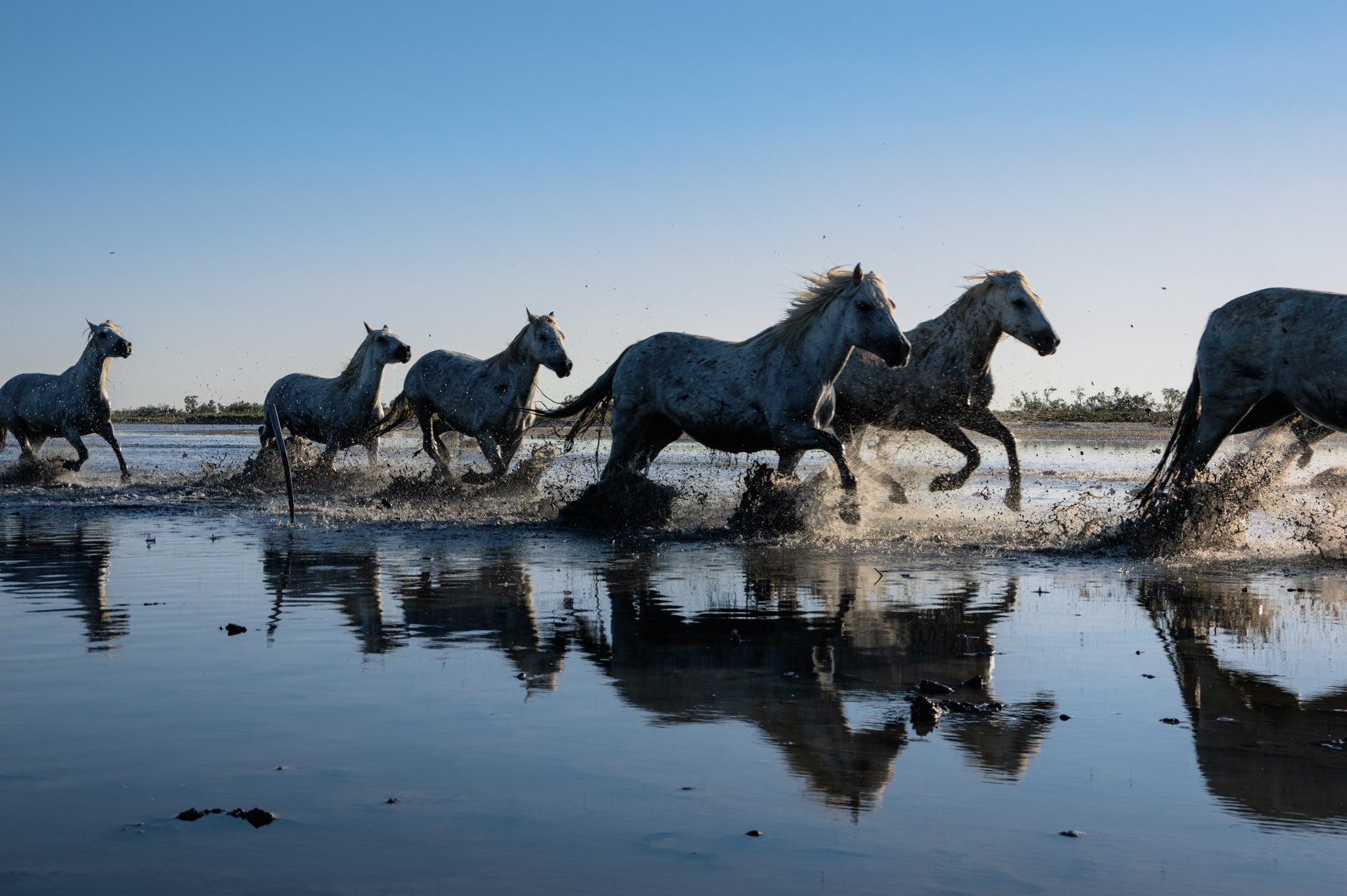 Séjour d’exception en Camargue : du 6 au 9 septembre