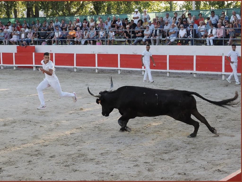 Arènes Régis Chauvet - Noves - photo 3