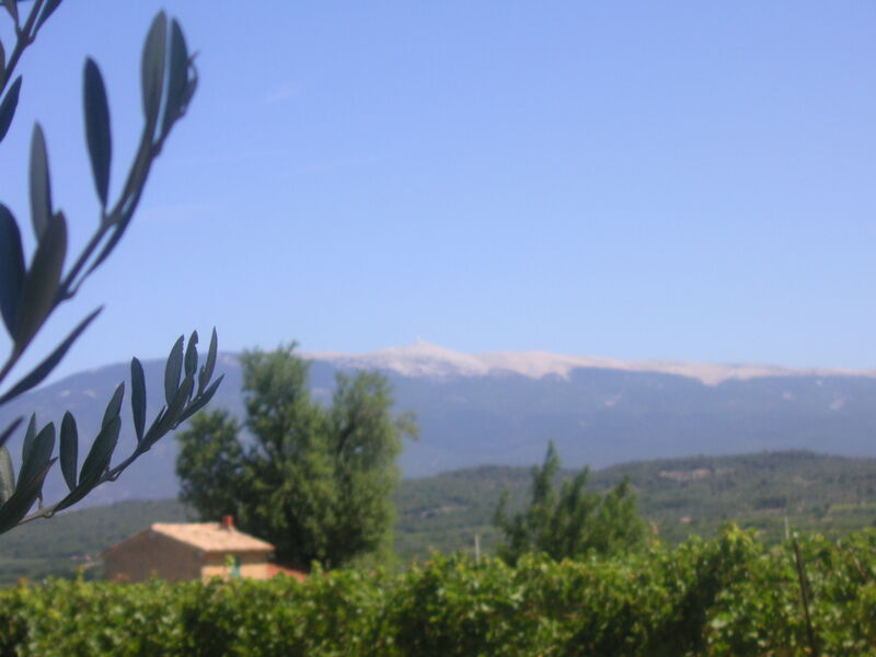 VENTOUX VUE CAVEAU