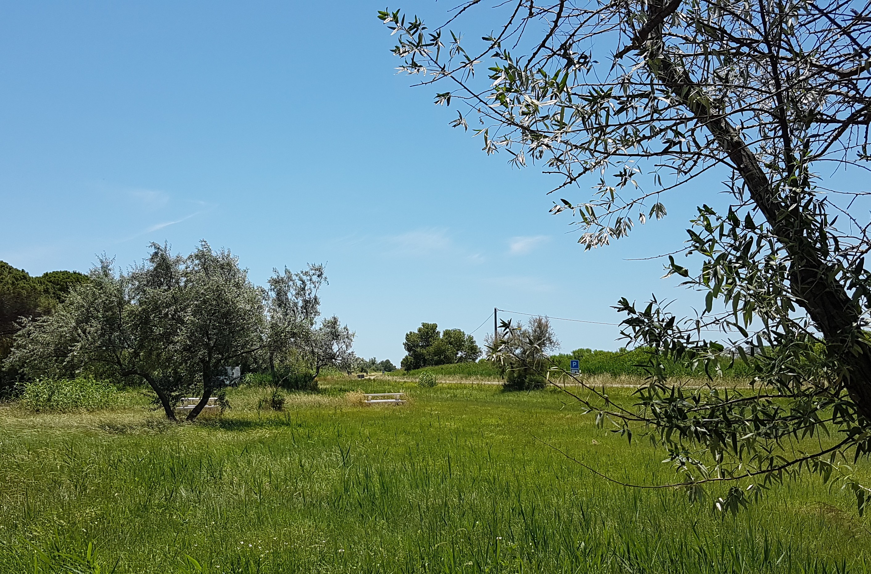 Aire de pique-nique de Louisianne