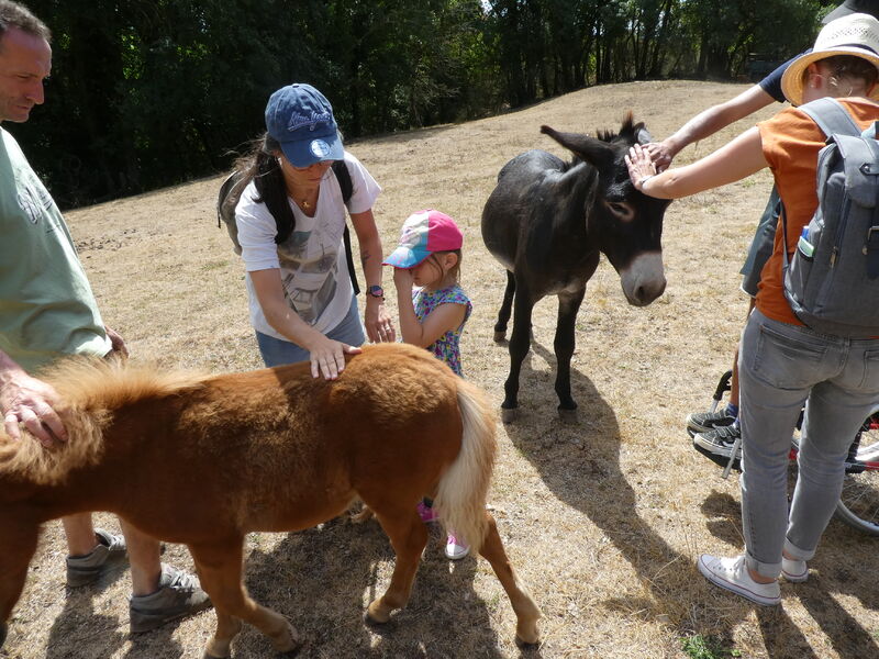 Pérouges Bugey Tourisme