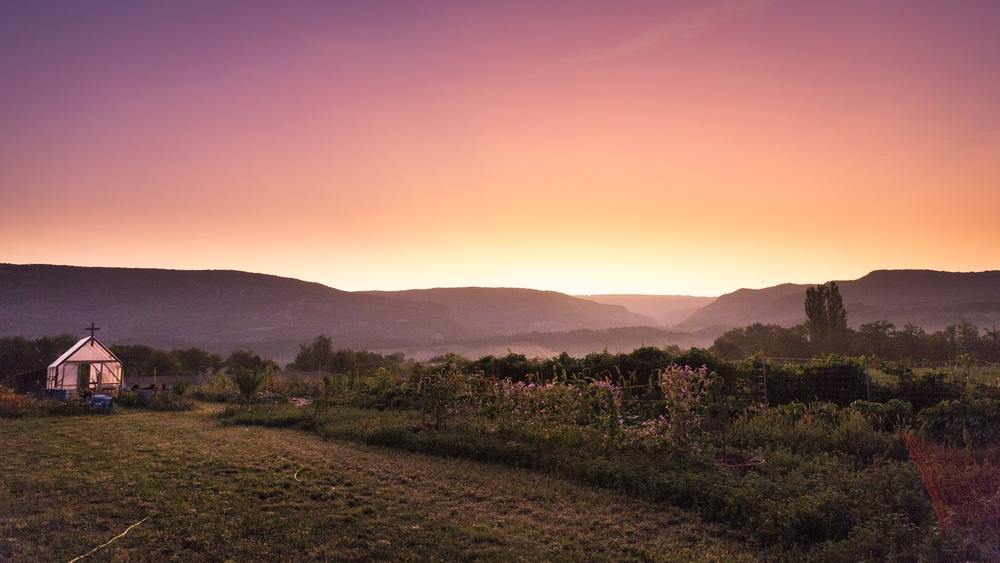 Les Jardins de Pompoko - producteur - Creys-Mépieu  - Balcons du Dauphiné