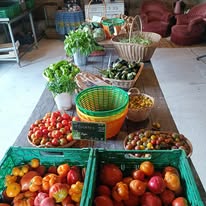 535492978_122142095072838170_3882998945128556201_n