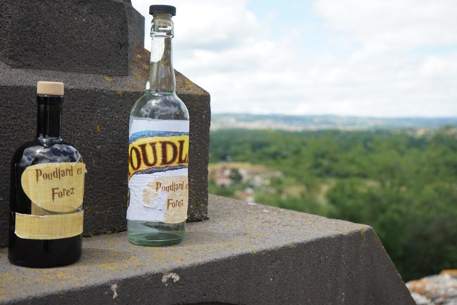 Poudlard-en-Forez - jeu en famille_Marols