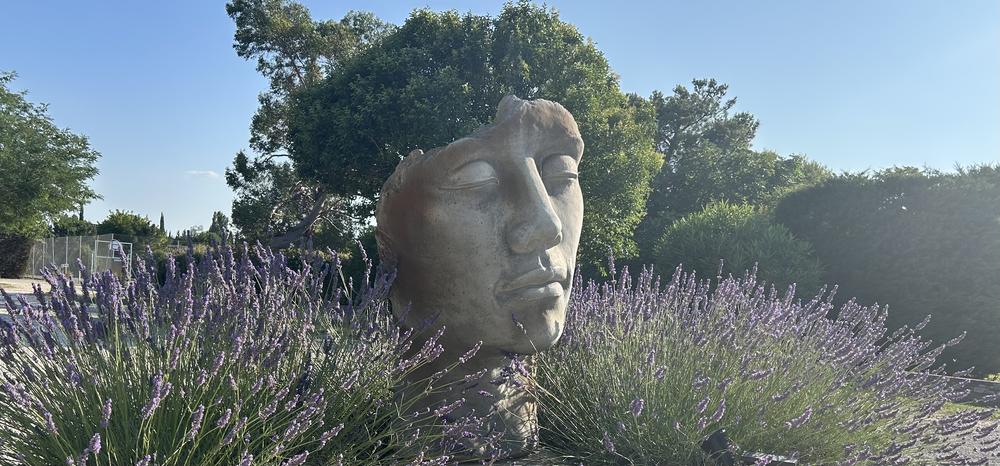 Le Camping du Lavandin_Orange