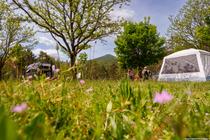 Camping municipal Verdon Carajuan