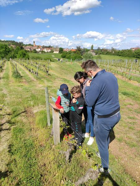 Famille jeux Bully.jpg