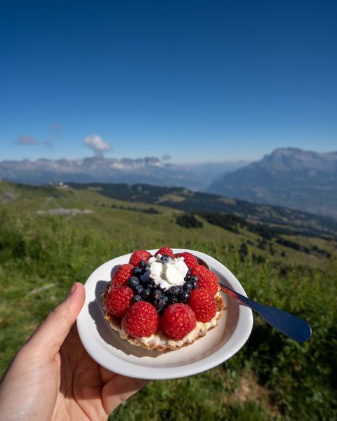 Tarte au Mont Joly