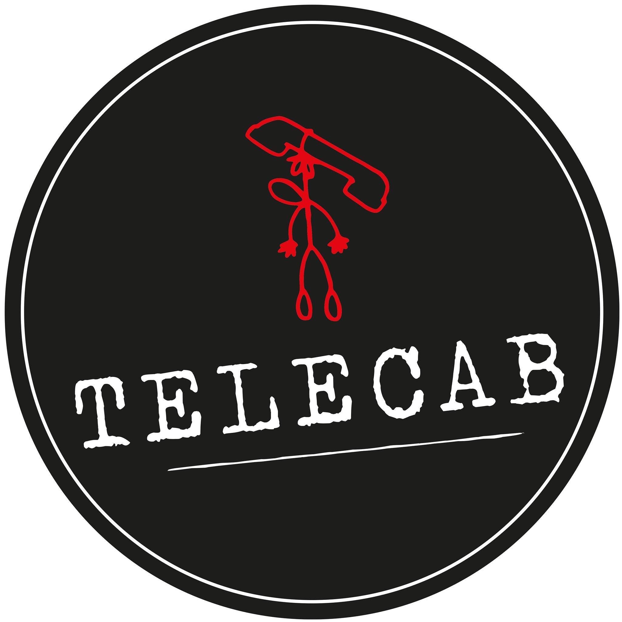 Concert de Télécab - Tribute au groupe téléphone