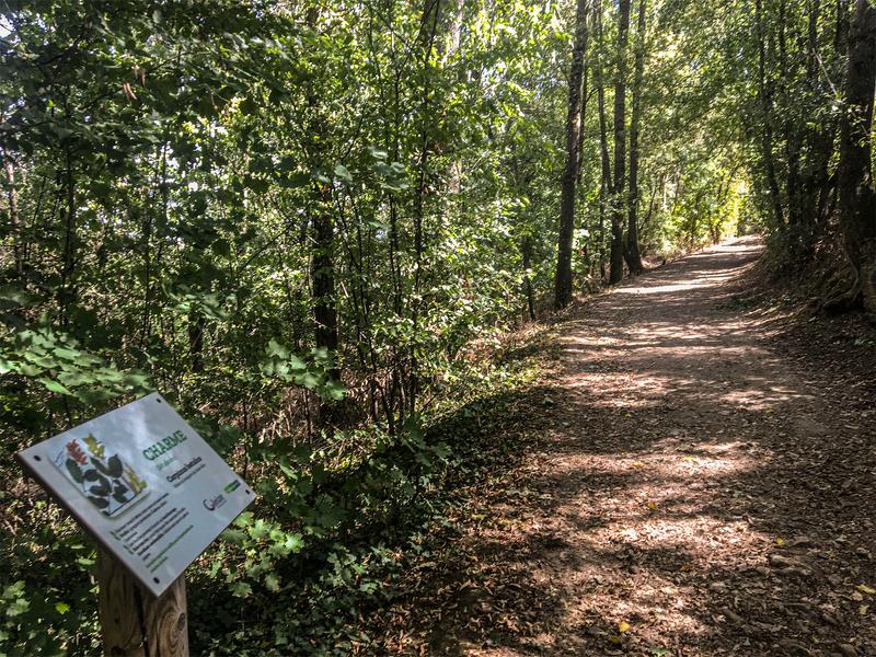 Balcon du Morgon_Gleizé