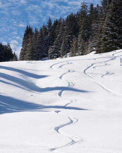 Ski hors piste à Abondance