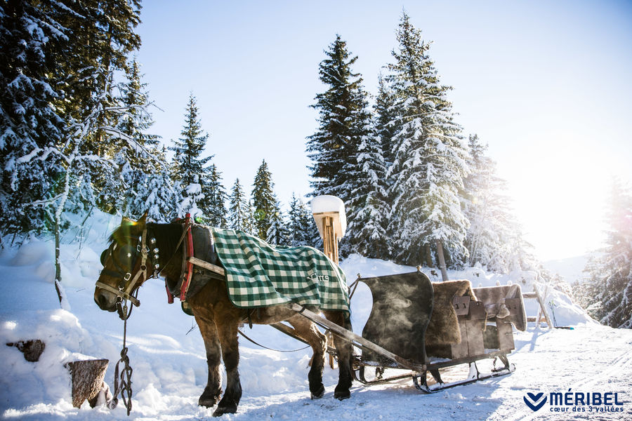 Balade en traineau à Méribel