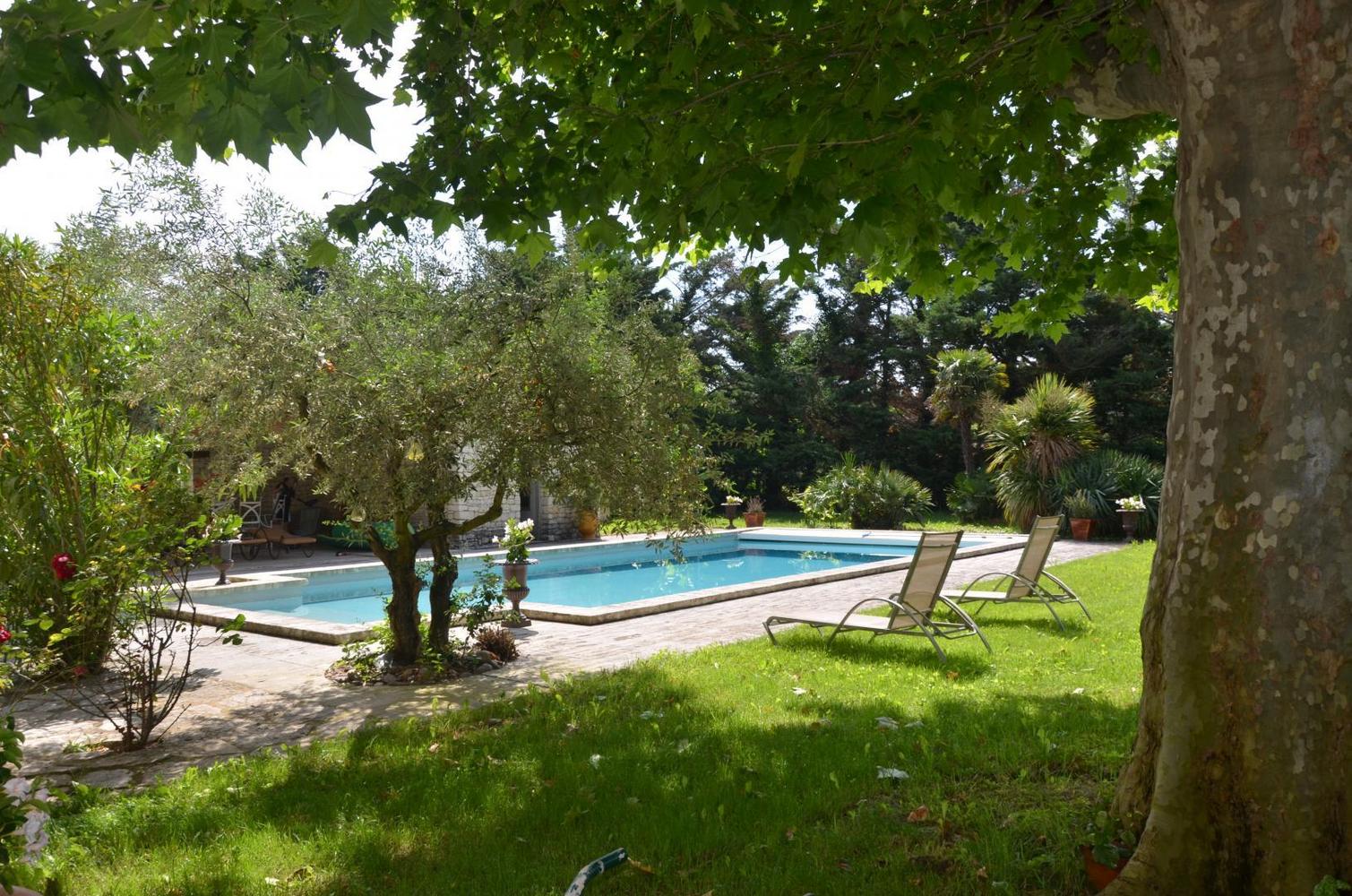 Mas Toulouse, Plan-d'Orgon - photo 5