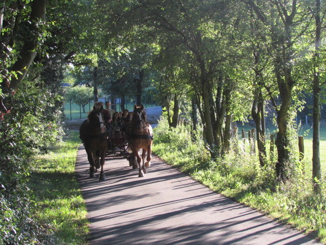Attelage route arborée