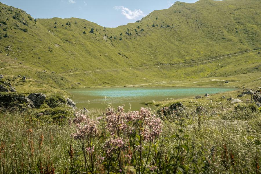 Randonnée pédestre : le Lac Vert depuis la télécabine d'Ardent_Montriond