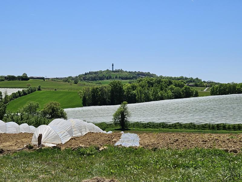 Résidence d'artiste - Vincent Beaume, photographe