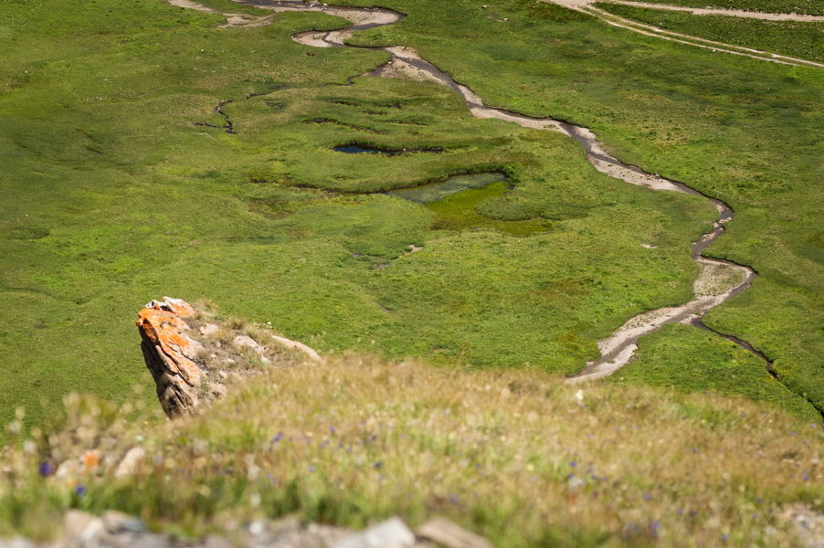 Vallon de l'Aiguille Noire