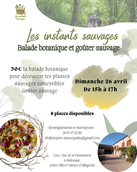 Balade Botanique et Goûter Sauvage