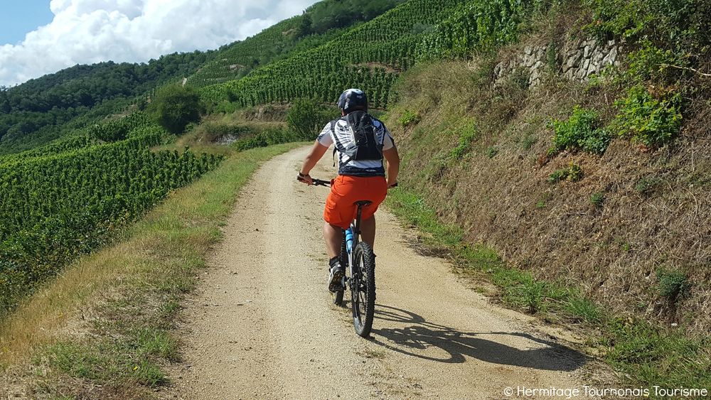 Rando VTT en Hermitage Tournonais