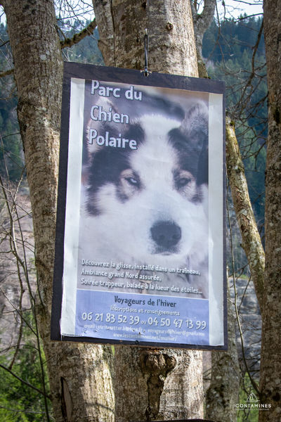 Parc du chien polaire