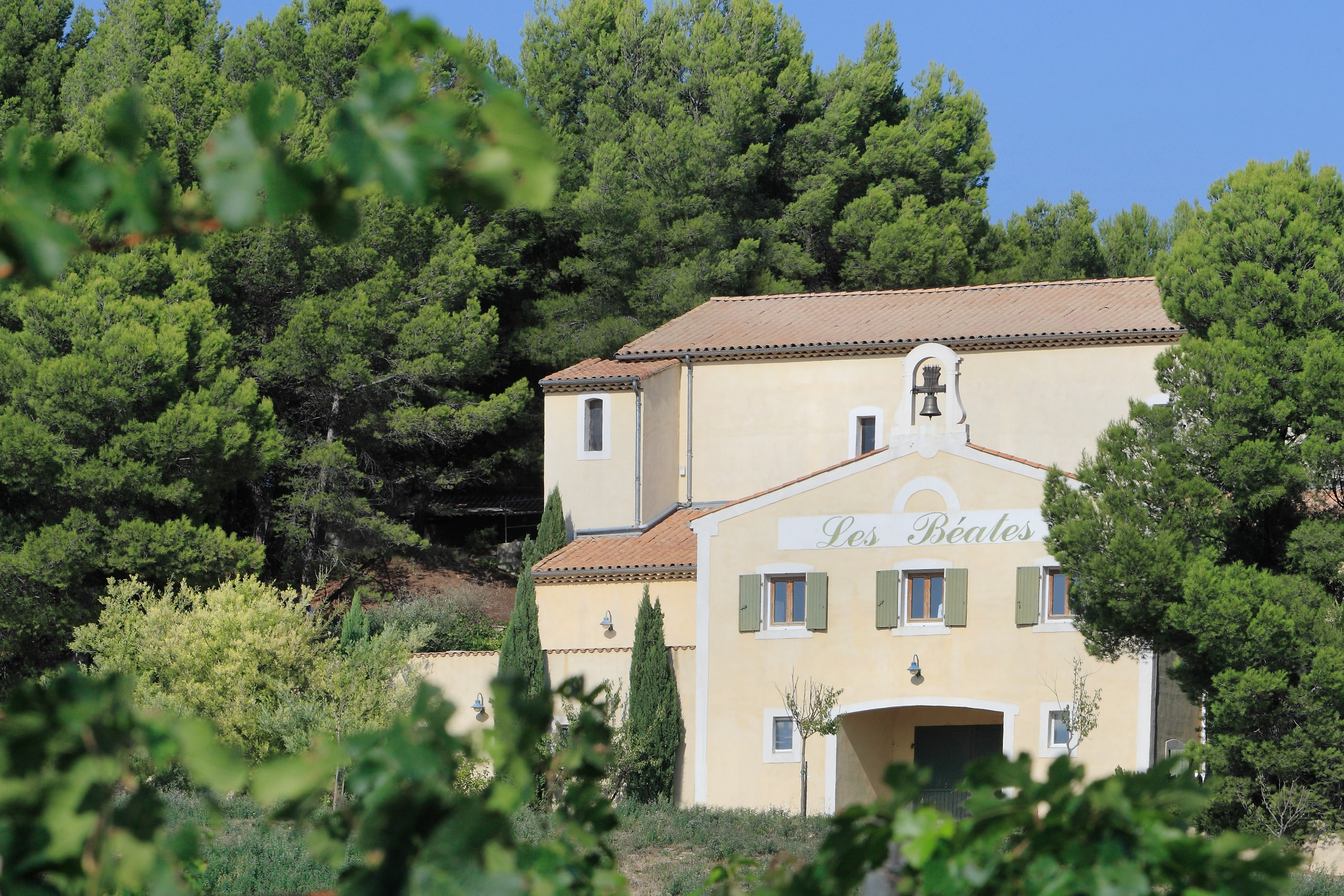 Verticale Béates Rouge au Domaine des Béates