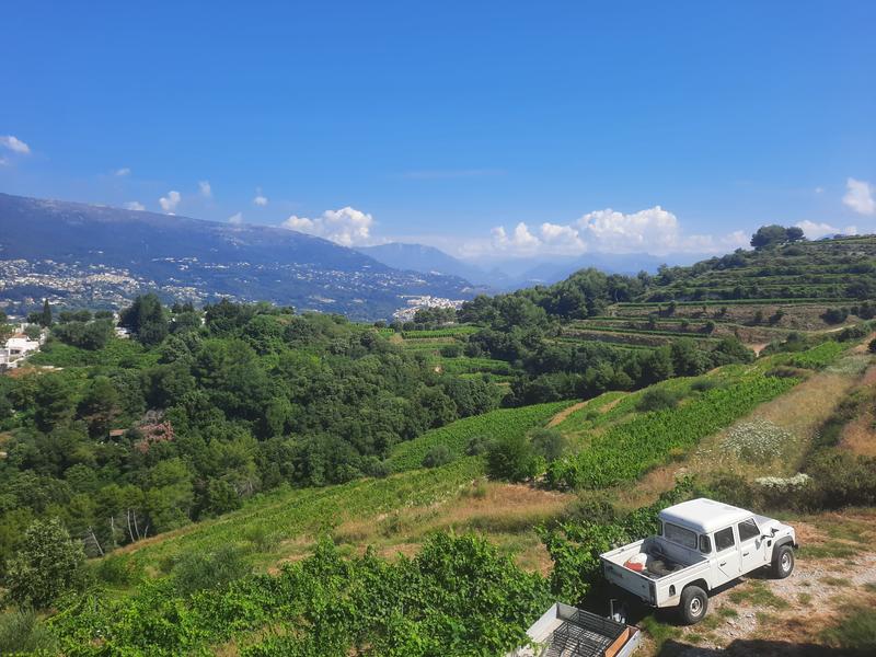 encore un point de vue de chez nous