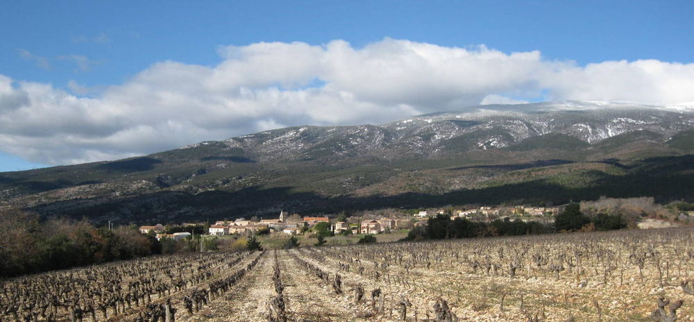brun magali