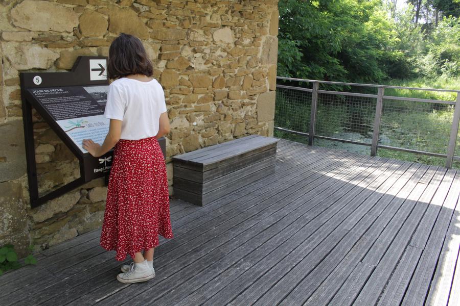 Le bois de l'Ane_Chavannes