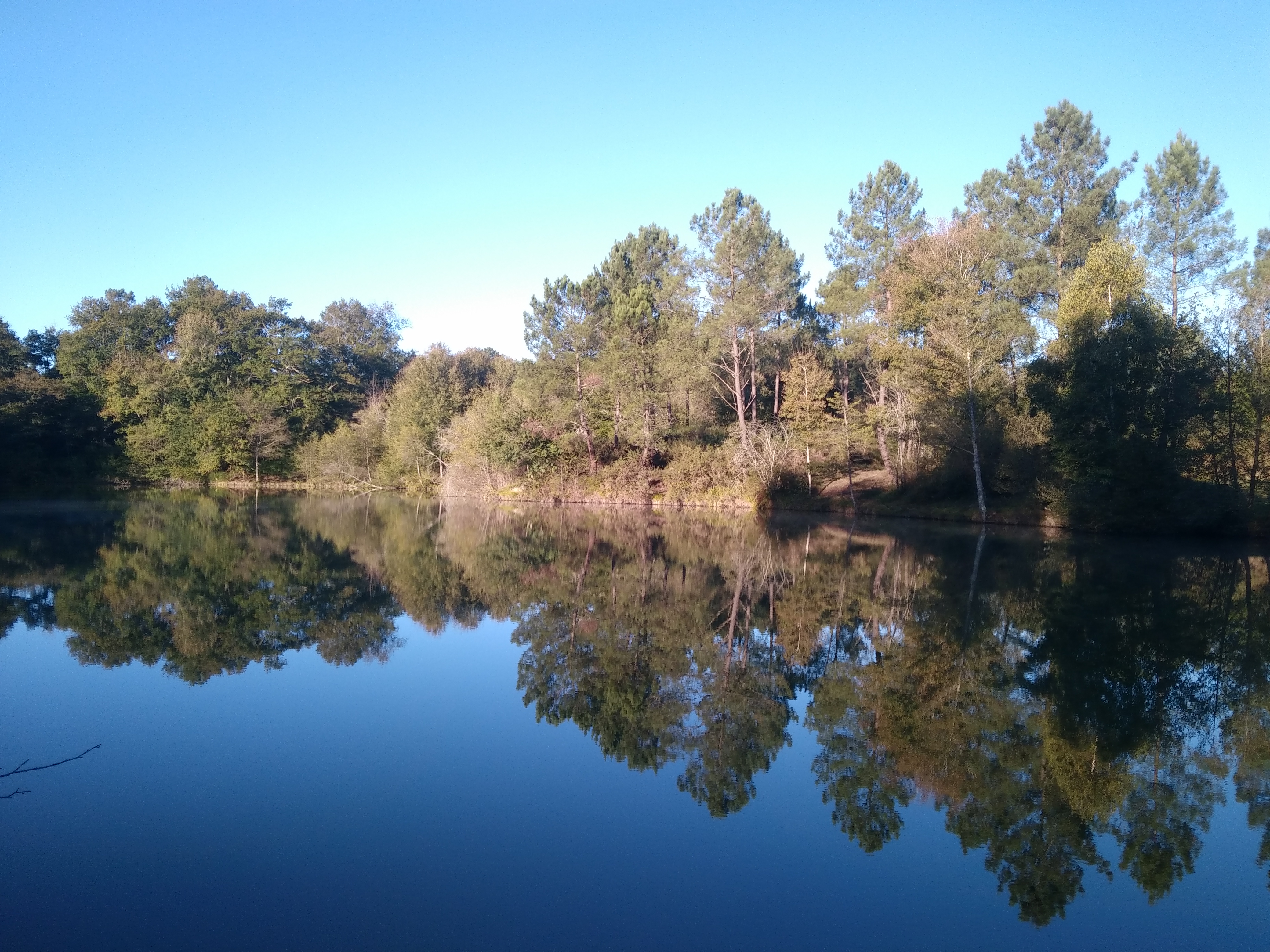 Etang de pêche de Piquedur